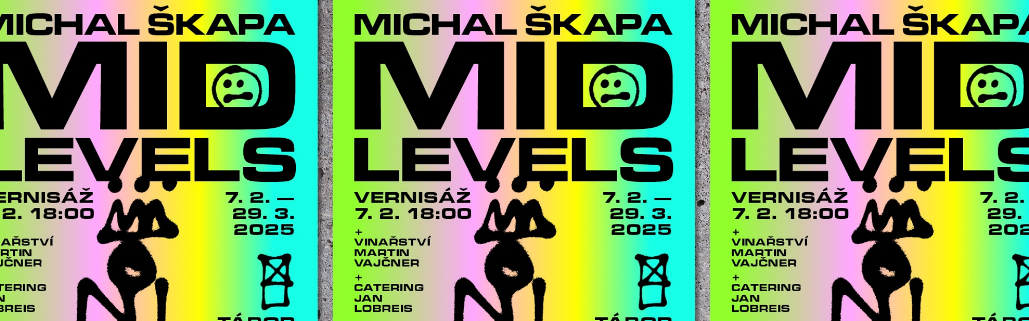 Výstava Michal Škapa / MID LEVELS