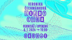 Výstava LEJDY LENA / Veronika Čechmánková