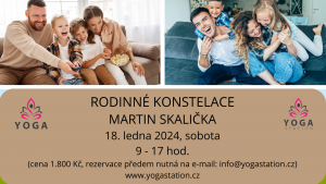 RODINNÉ KONSTELACE - Martin Skalička